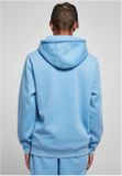 Starter Swing Hoody horizonblue