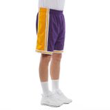 Mitchell &amp; Ness shorts Los Angeles Lakers purple/yellow Swingman Shorts 